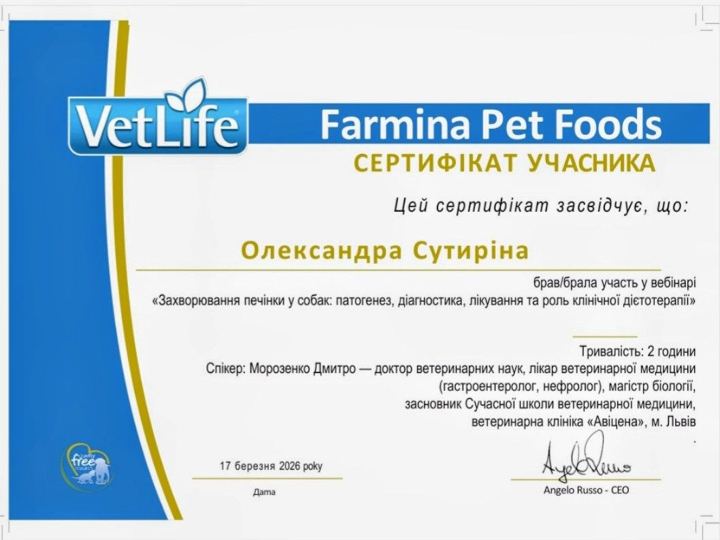 VetLife: Захворювання печінки у собак