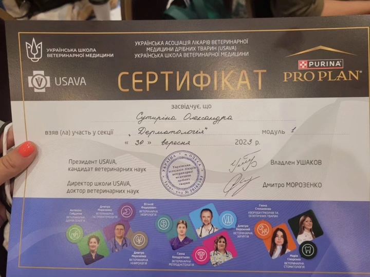 USAVA: Дерматологія, модуль 1