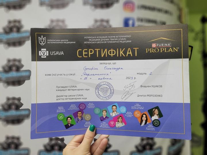 USAVA: Дерматологія, модуль 2